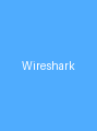 Wireshark